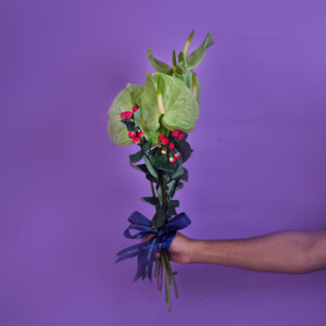 anthurium and berries