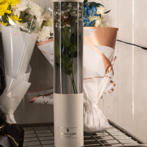 Baby breaths Nested in Premium Centra Flora Box