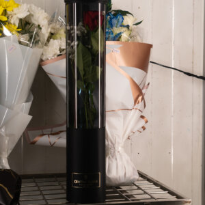 Black Color Centra Flora Premium Box