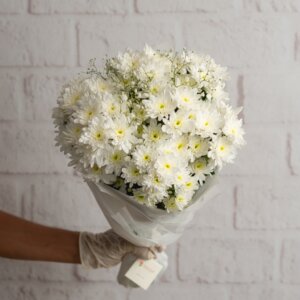 White Chrysanthemum & Gypso